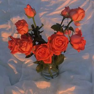 香蕉网美女少妇
